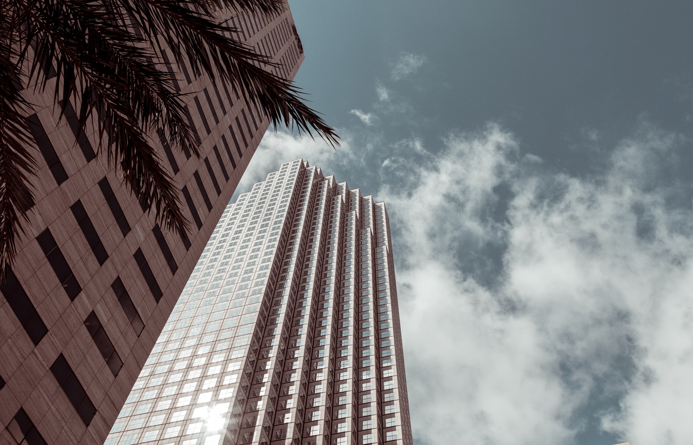 Florida Insurance Law and Rules