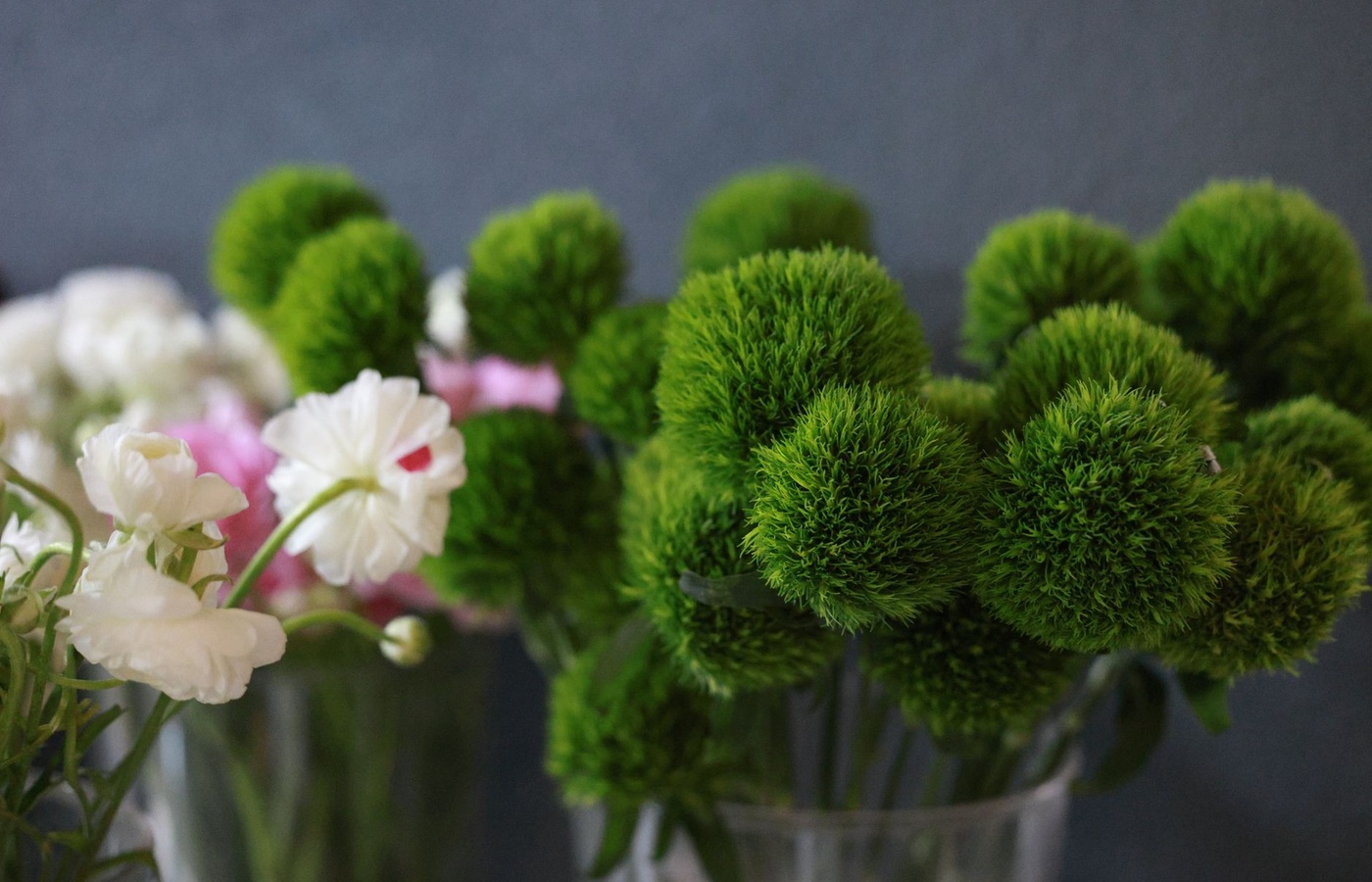 Floral Licensure