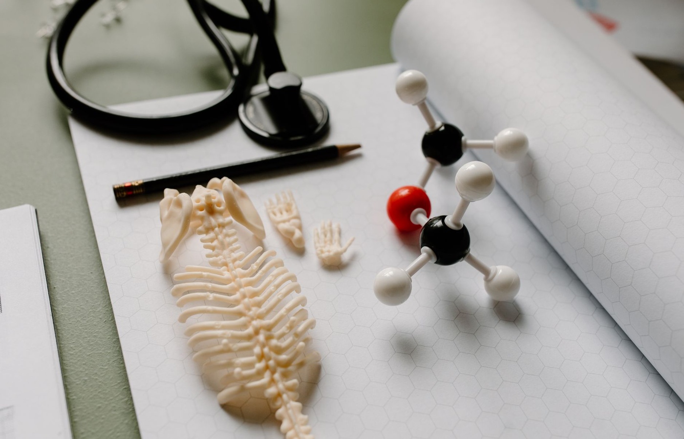 Florida Chiropractic Laws and Rules (FCLR)