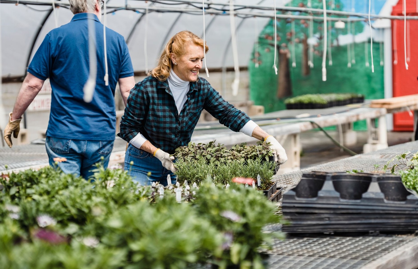 FNGLA Horticulture Practices