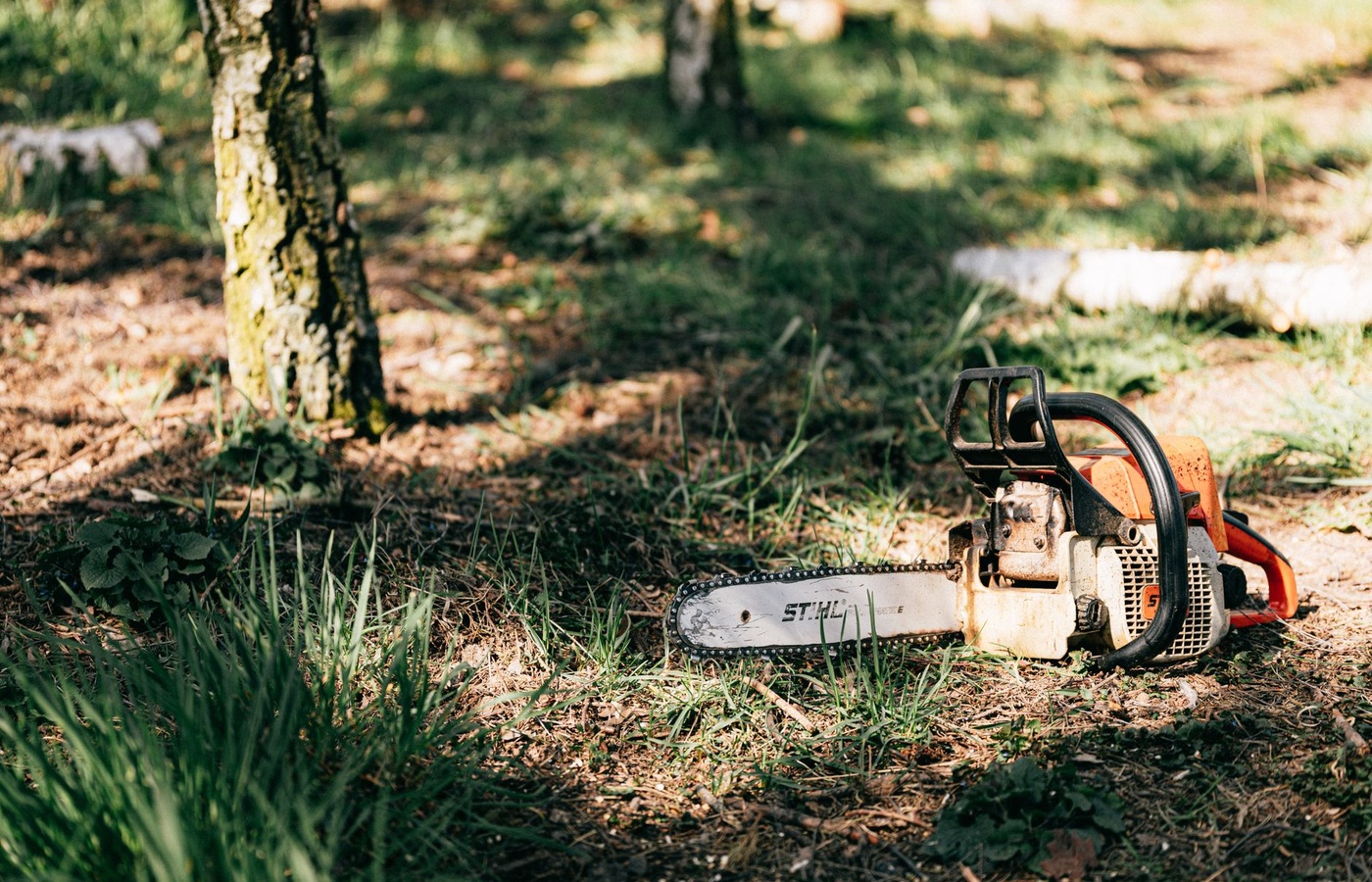 Forest Worker Certification