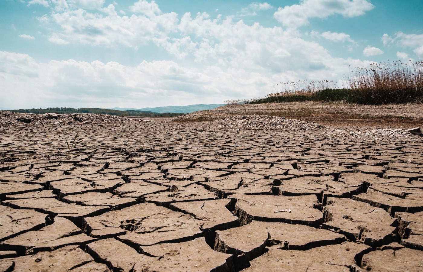 GARP Sustainability and Climate Risk (SCR)