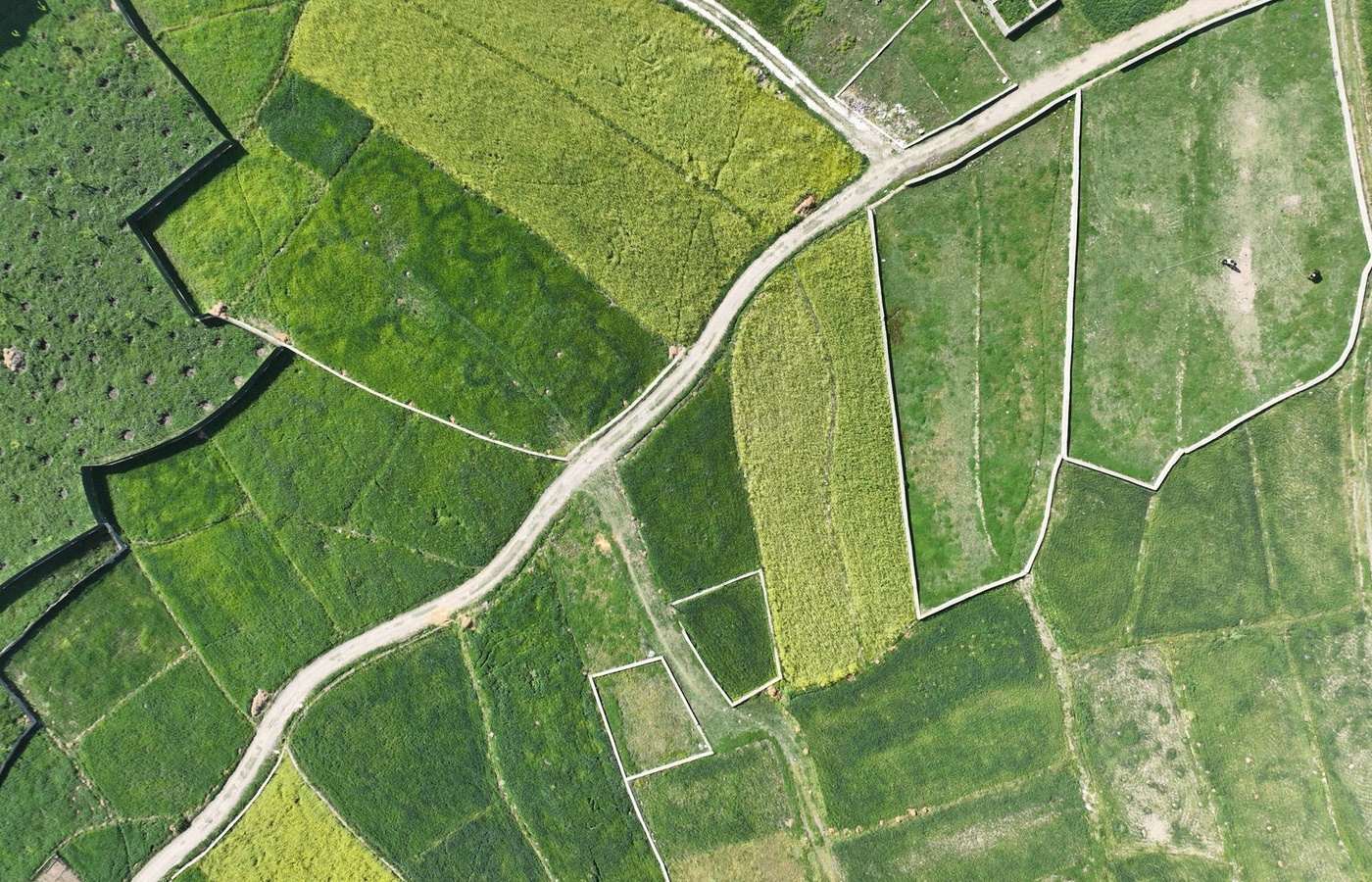 GE Cartography