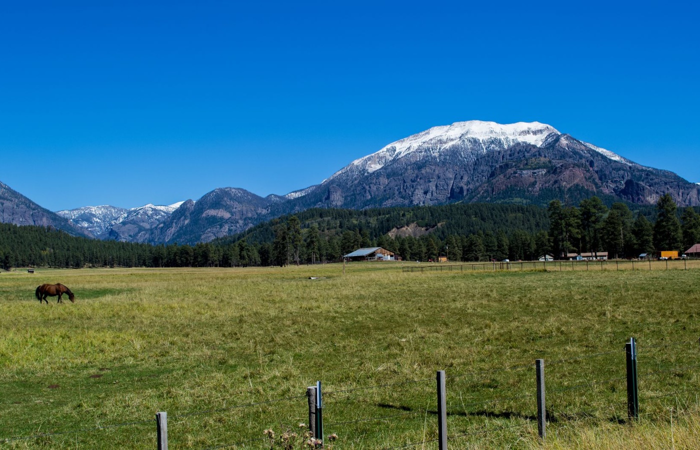General Colorado Commercial Pesticide Application