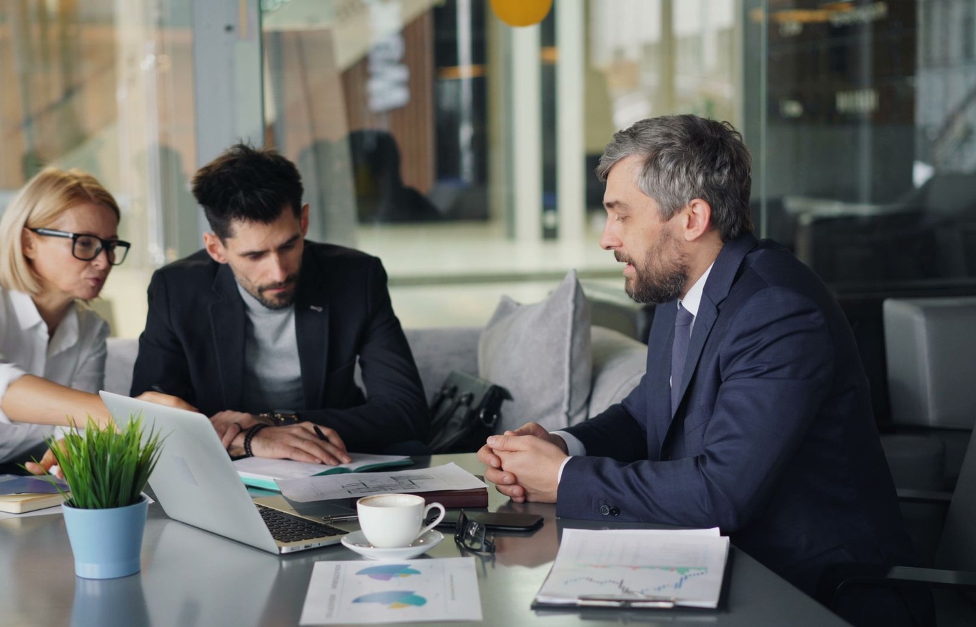 Global Business – Systems, Strategies, and Cultural Dynamics