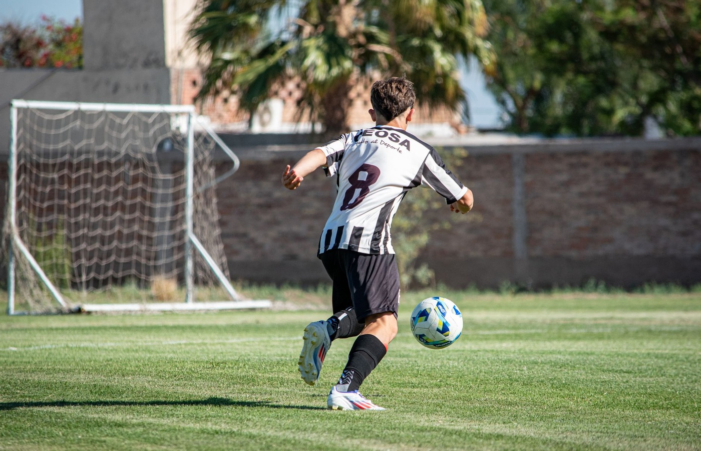 Global Youth Sport, Industry, Marketing and Digital Engagement