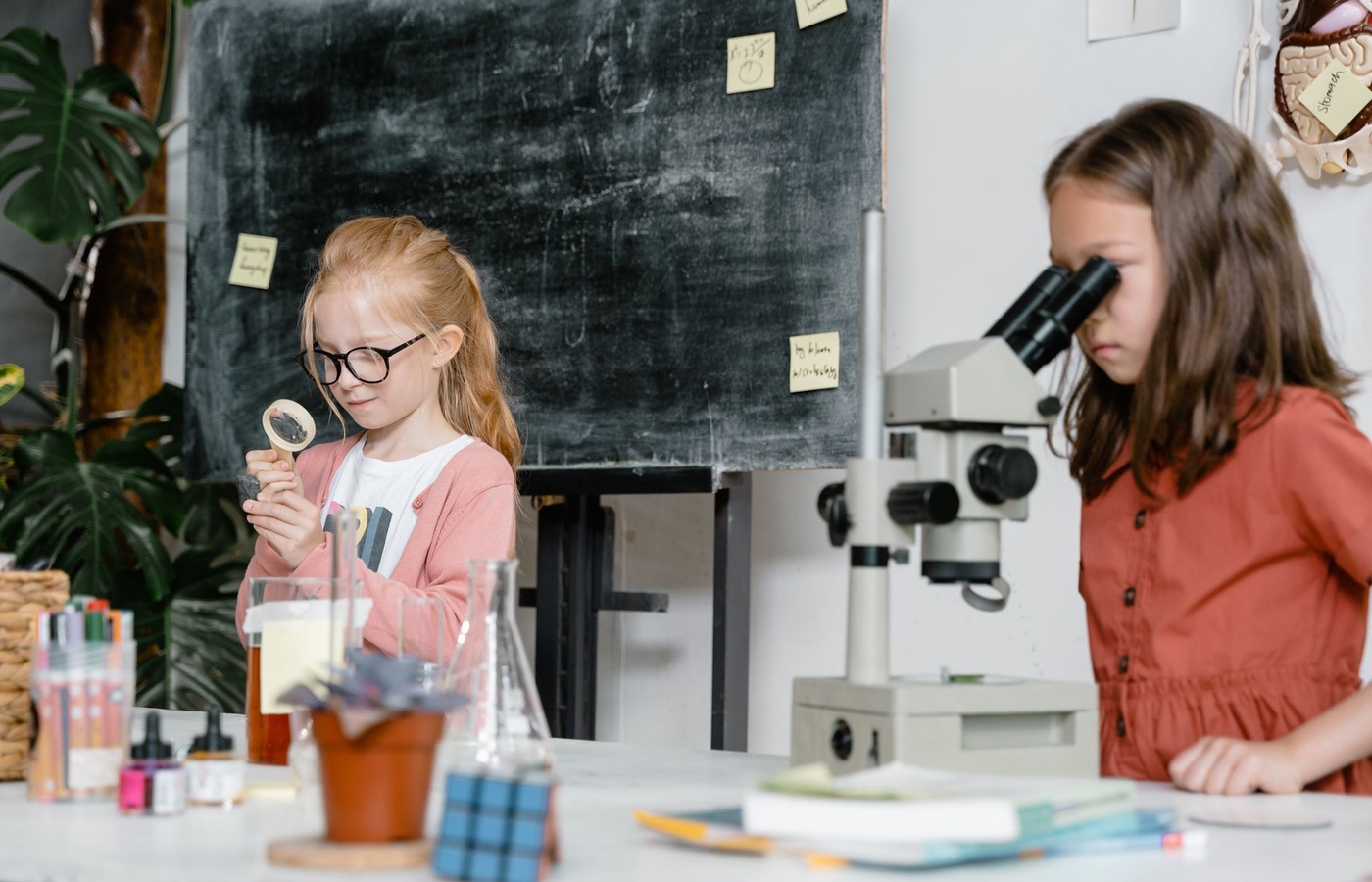 GMAS 5th Grade Science