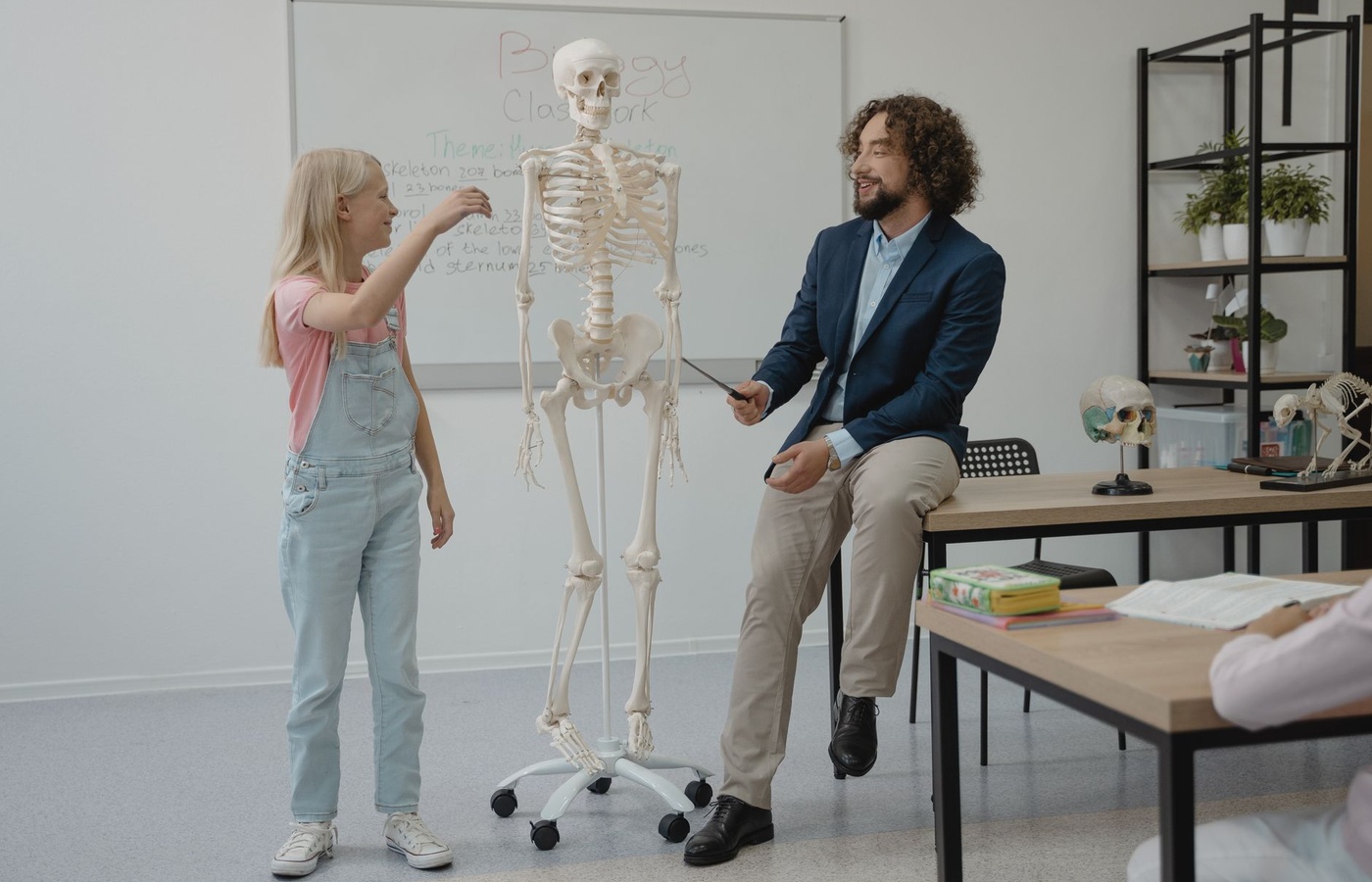 Examzify course visual