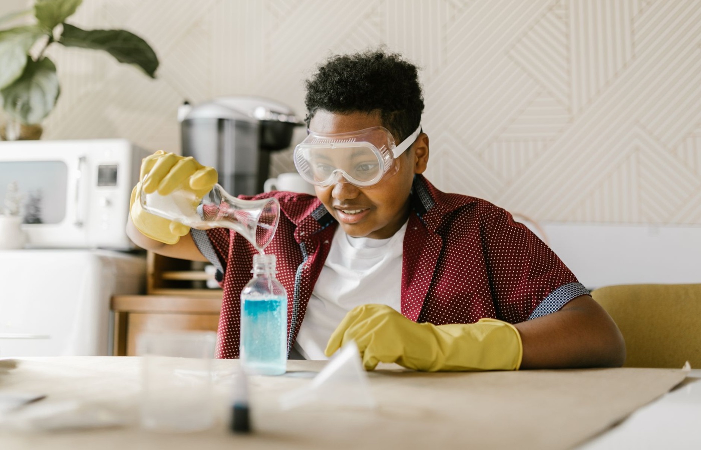 GMAS 8th Grade Science