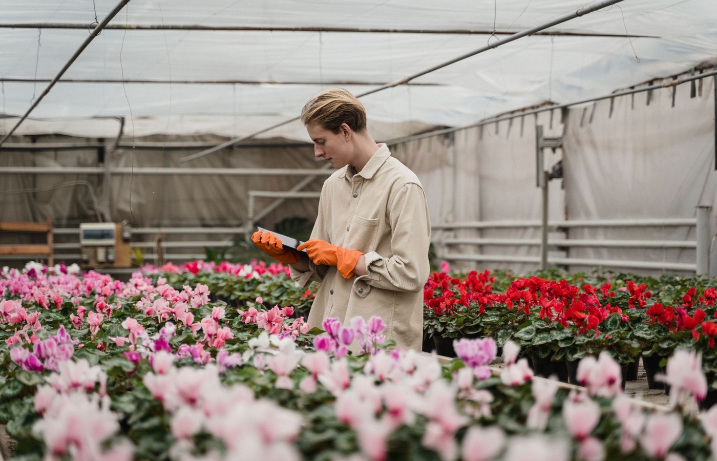 Green House Management