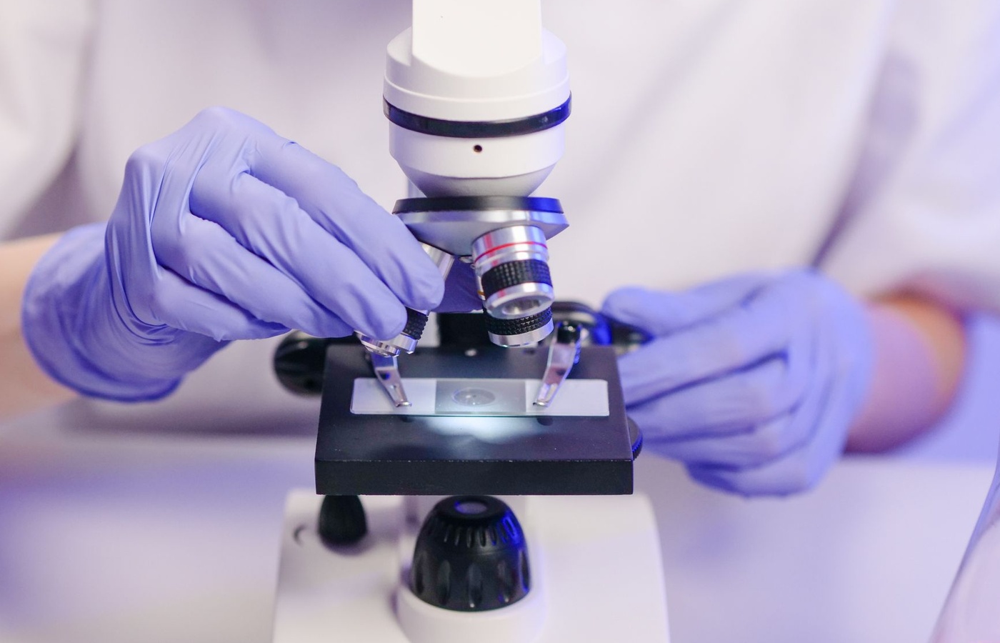 Georgia State University (GSU) BIOL 1103 Introductory Biology I Exam 1 Practice Exam course image