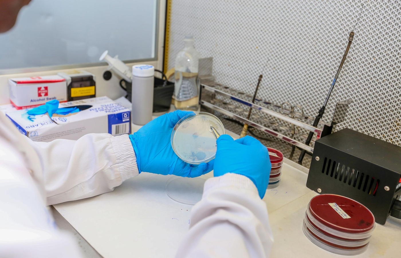 Harr Microbiology