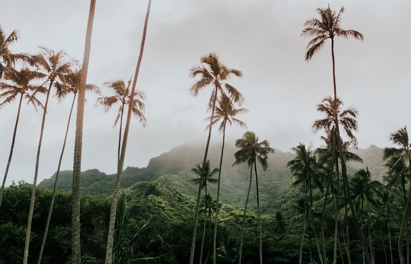 Hawaii Esthetician State Board