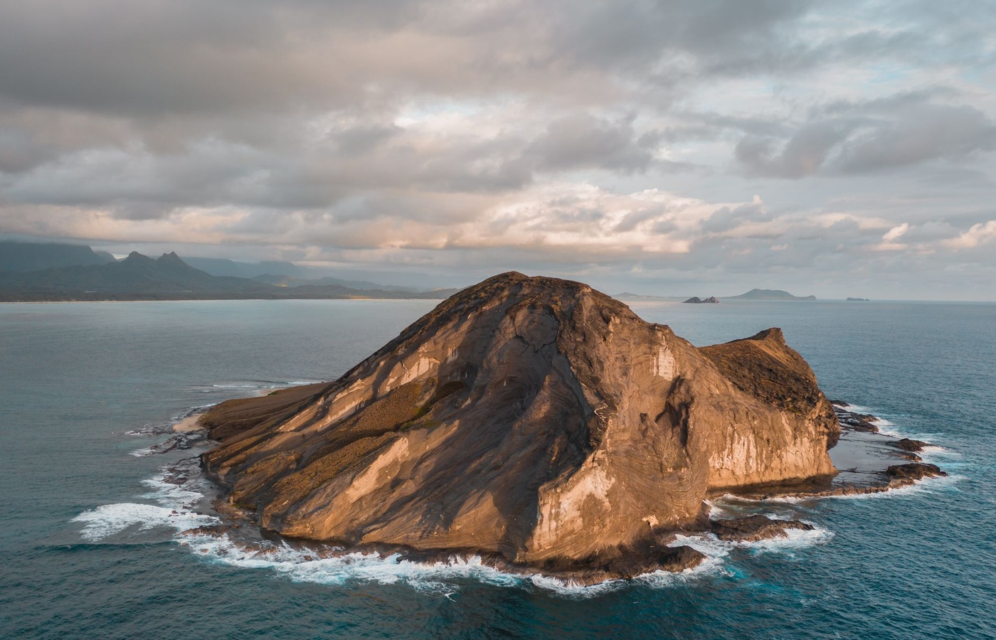 Hawaii Veterinary State Licensing