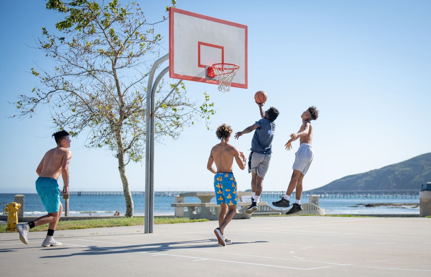 Higher Physical Education (PE)