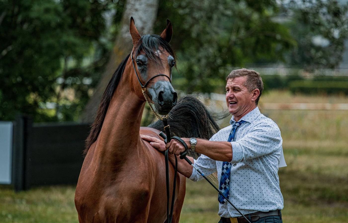 Hippotherapy Clinical Specialist