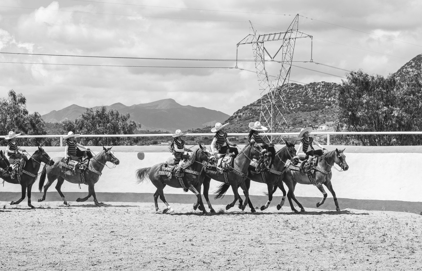 Horse Evaluation CDE