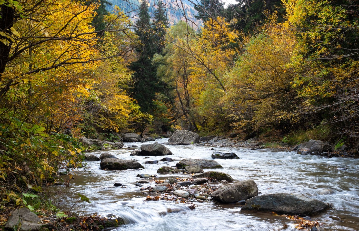 The Hydrological (Water) Cycle and Drainage Basin Systems