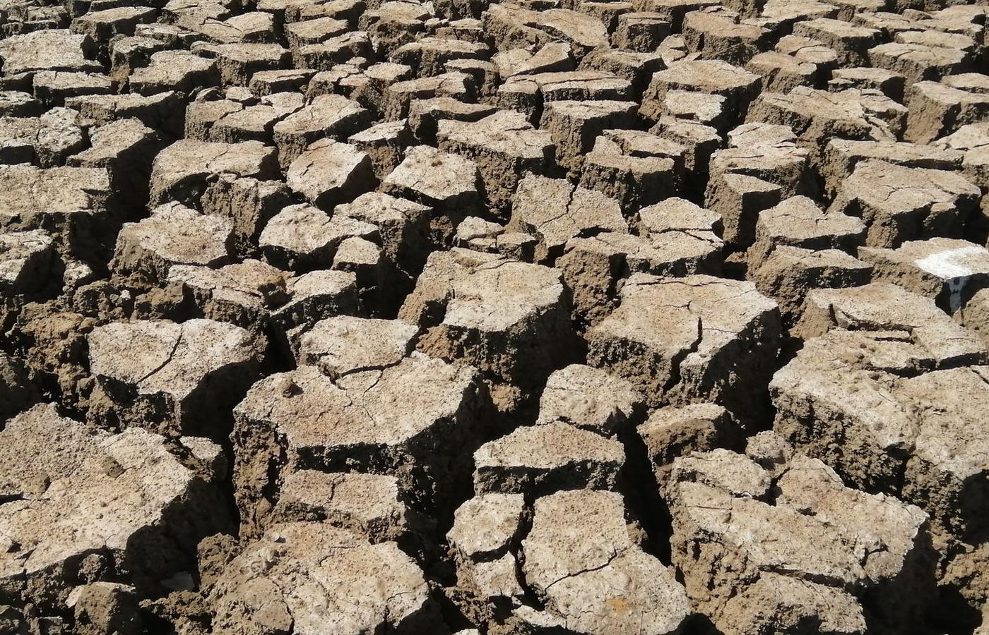 ICC Soils (EC) Material Testing