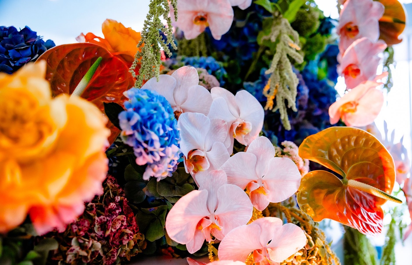 iCeV Floral Certification