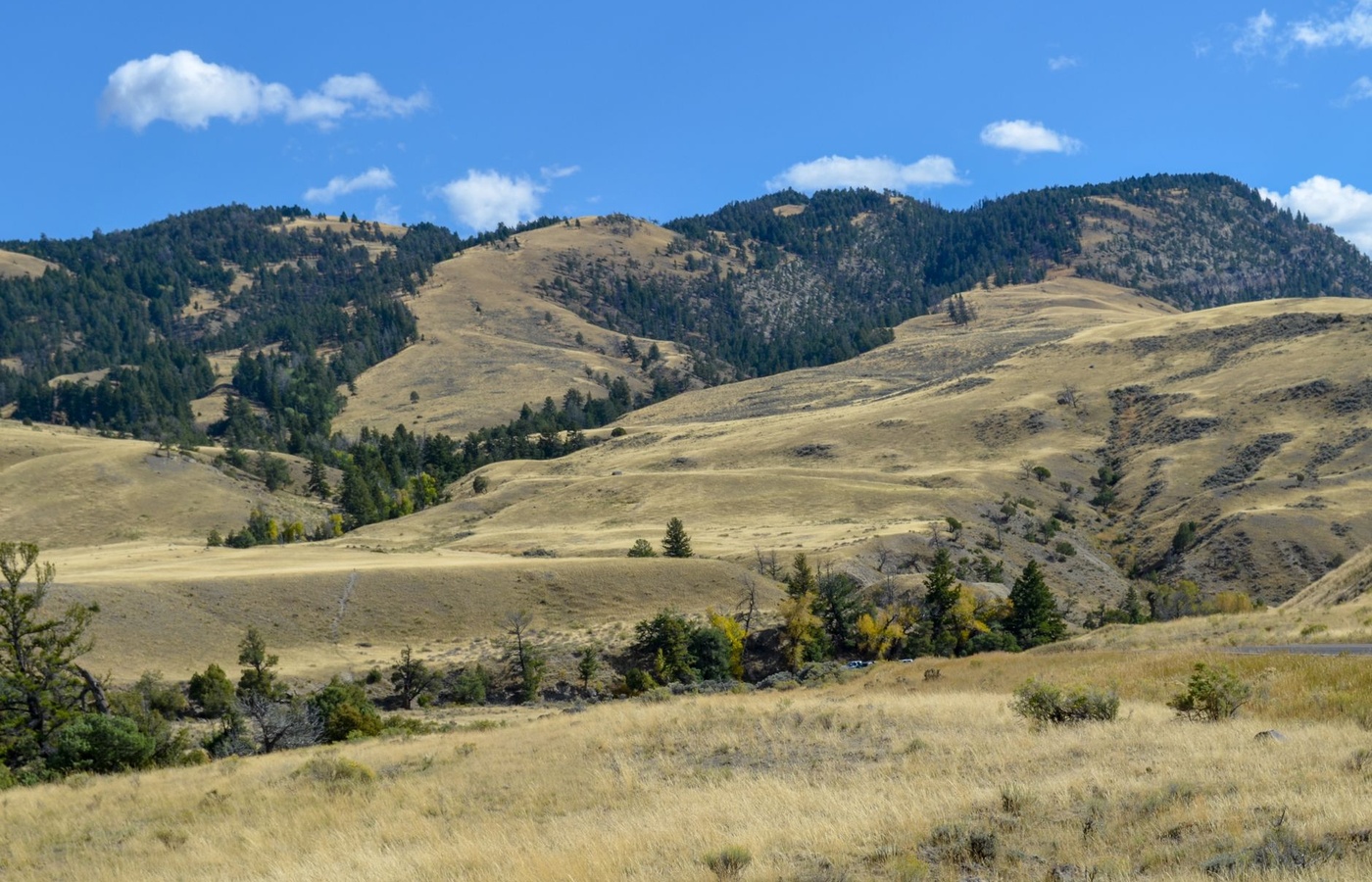 Idaho Life Producer