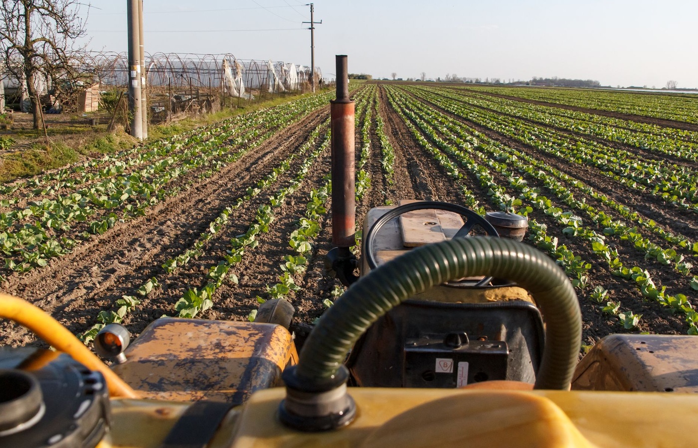 Idaho Pesticide Applicator Certification