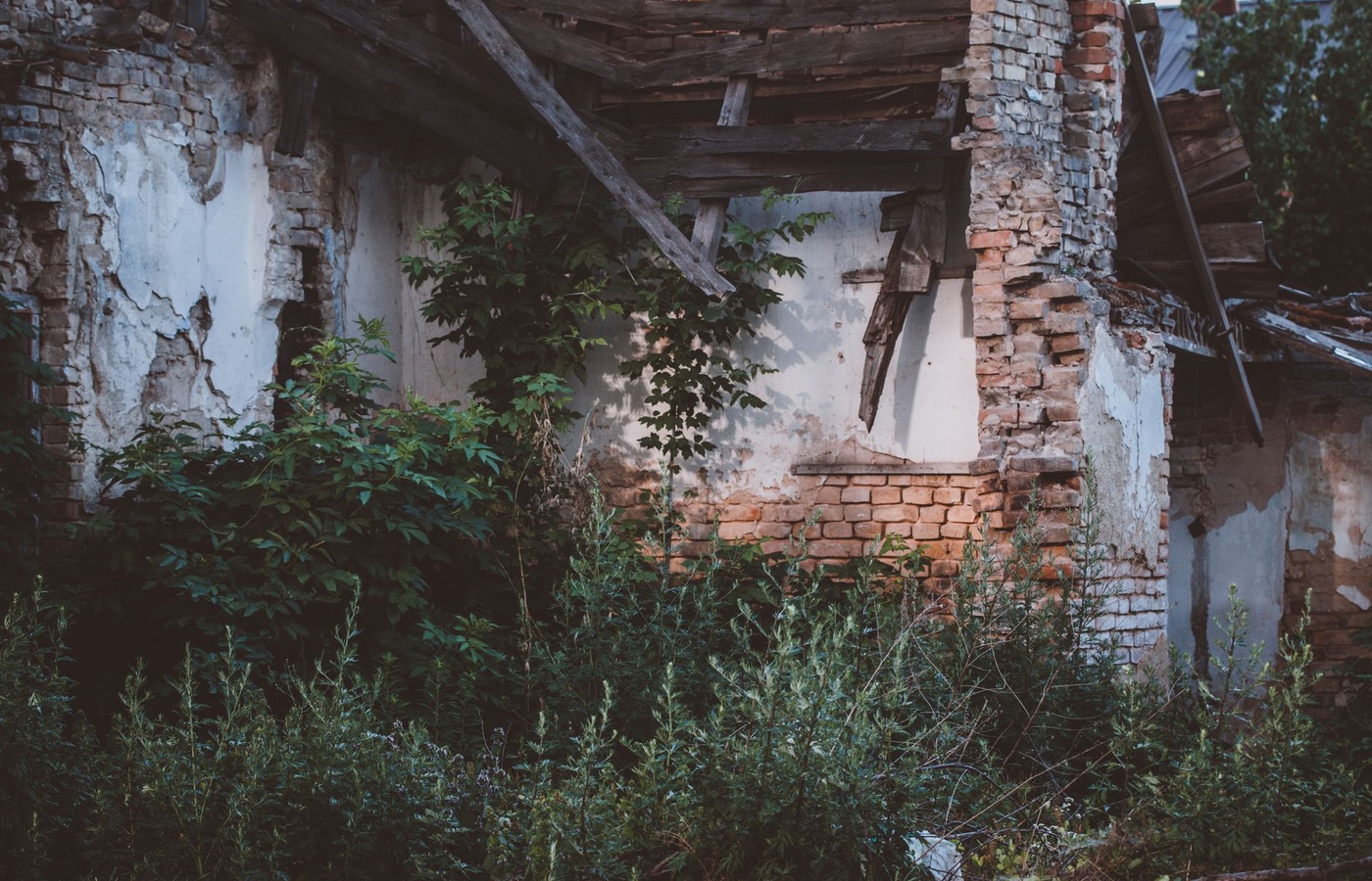 Idaho Independent Adjuster