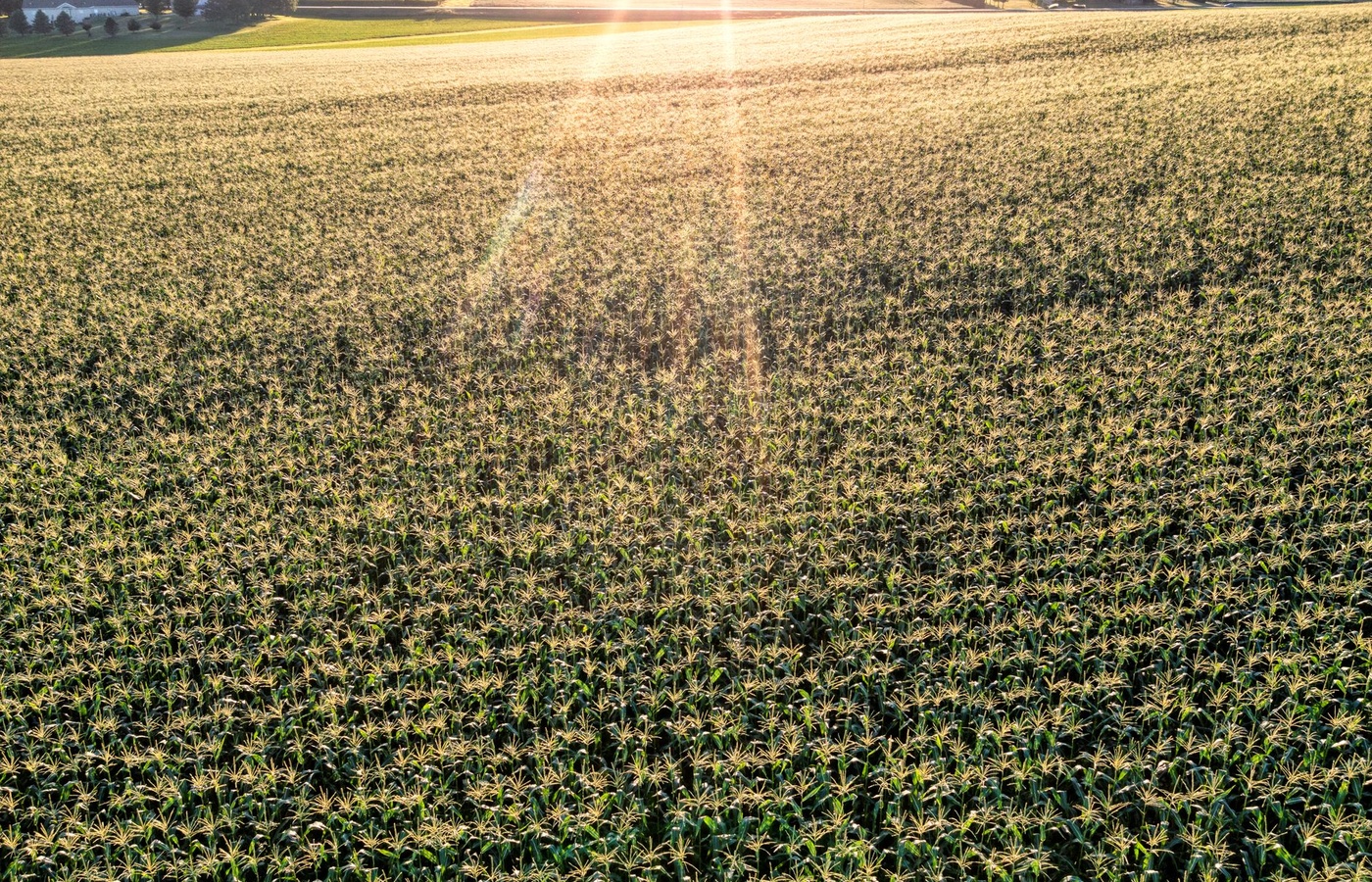 Illinois Pesticide Operator General Standards