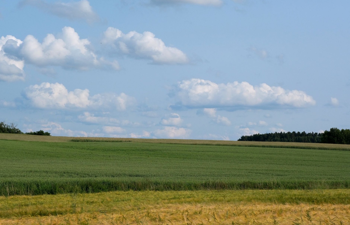 Indiana Category 1 Applicator License
