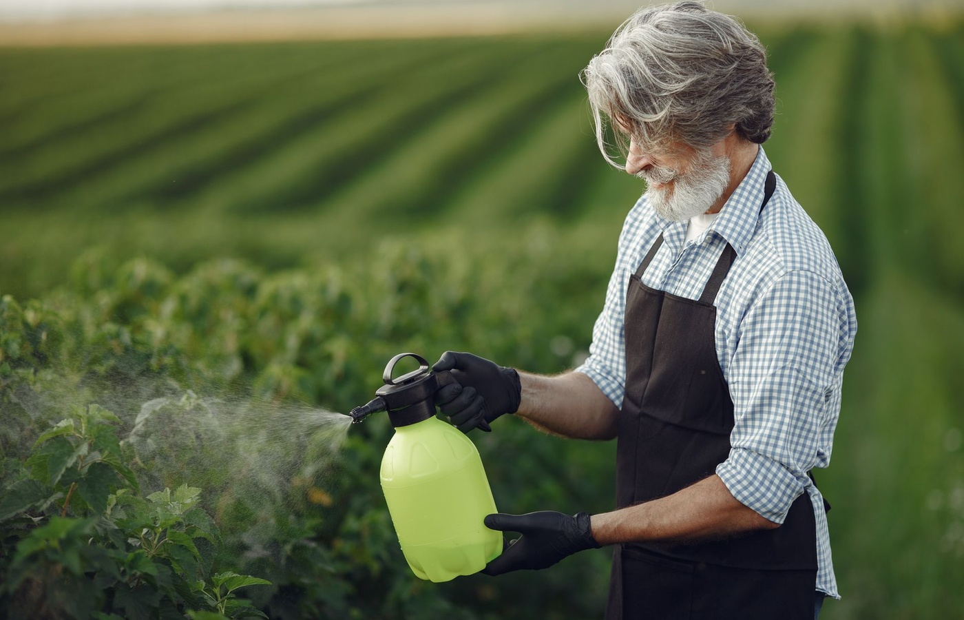 Initial Pesticide Certification