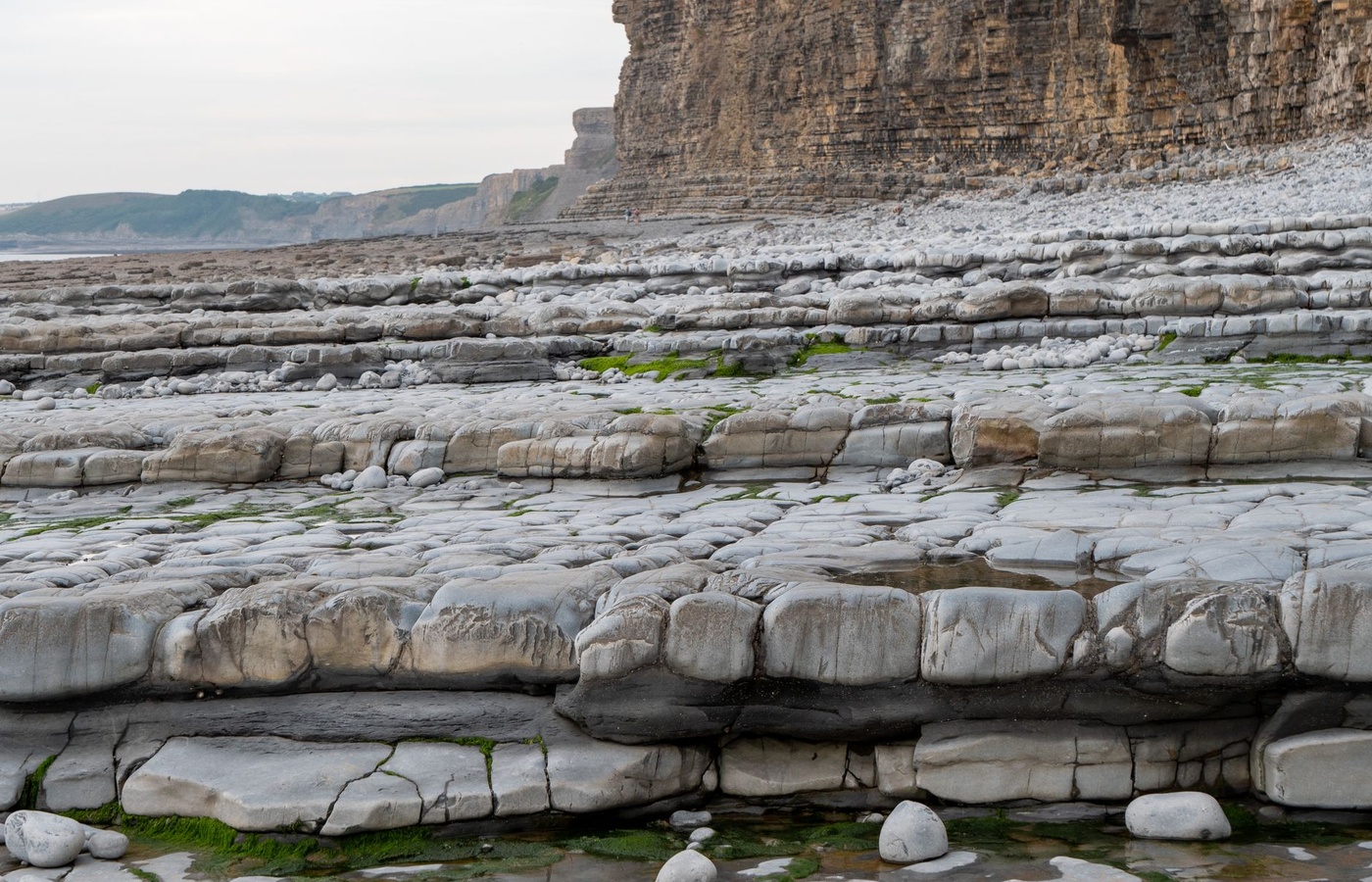 Introduction to Physical Geology