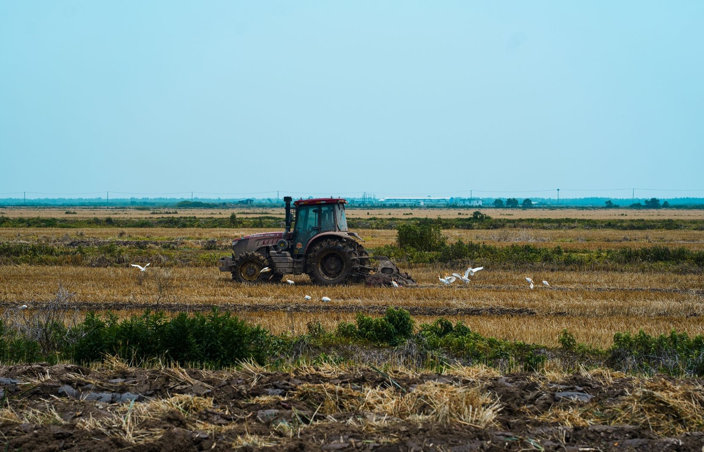 Iowa Pesticide Applicator