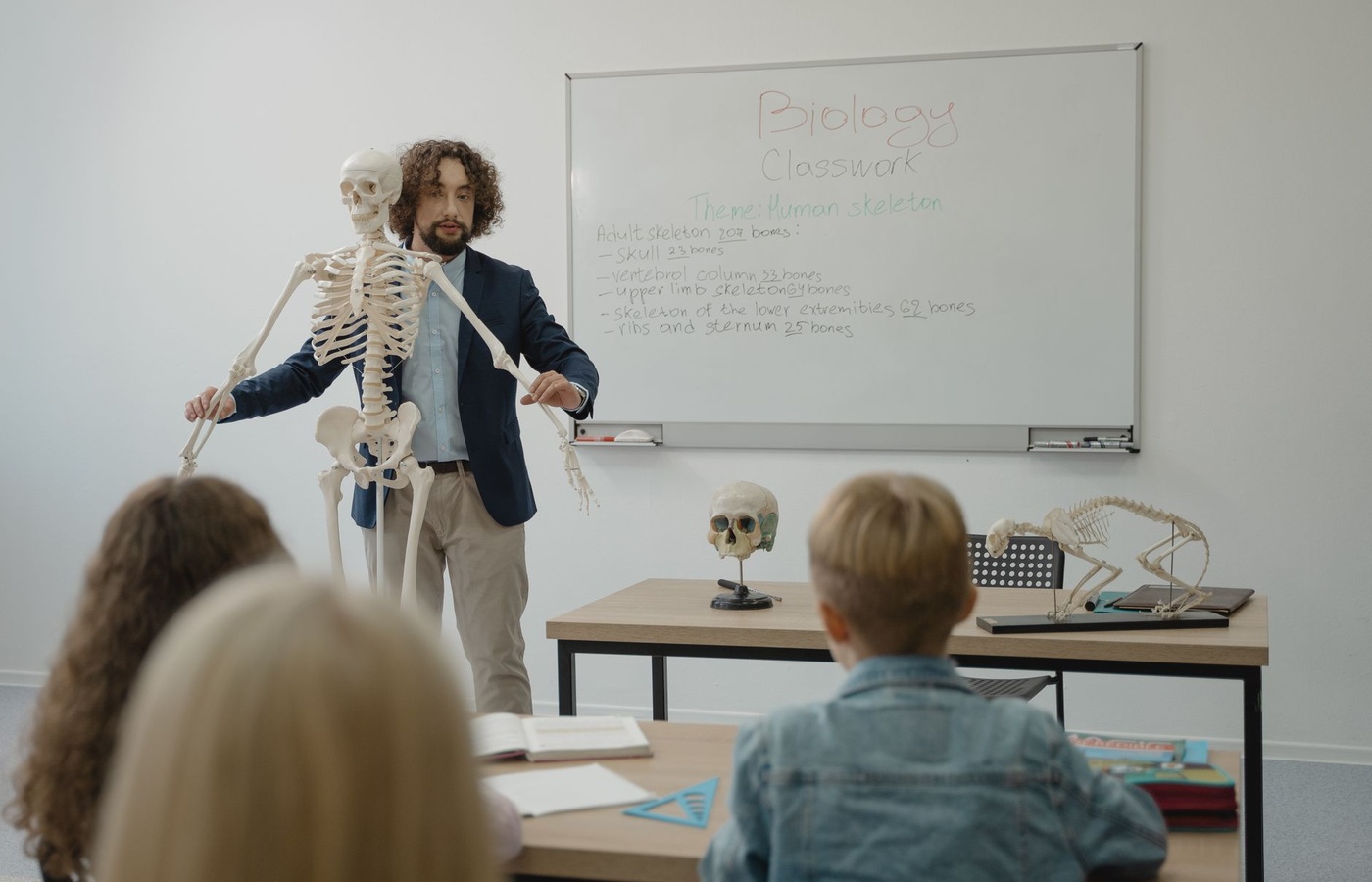 Examzify course visual