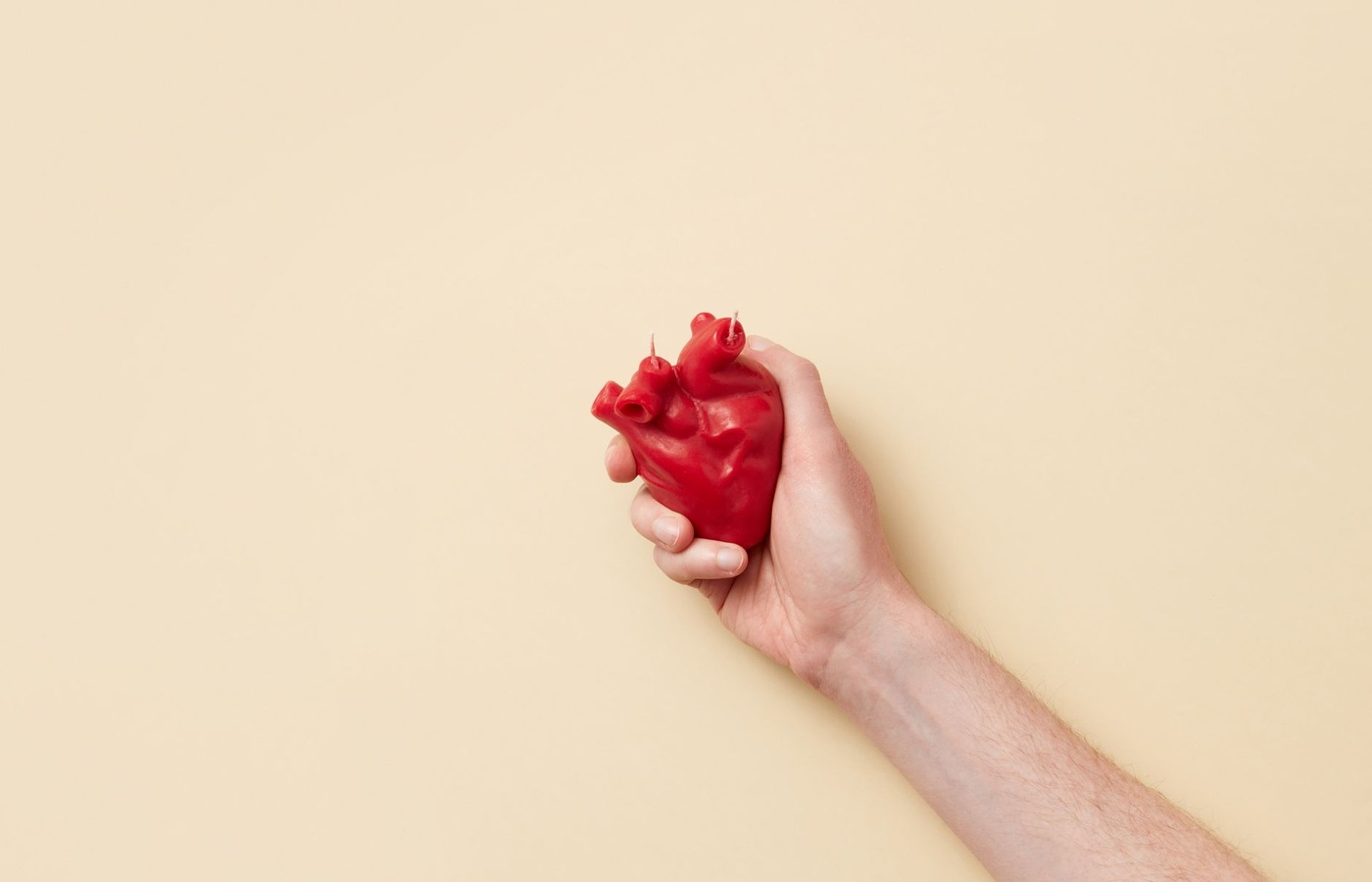 Ivy Tech Anatomy and Physiology II (APHY 102) Heart