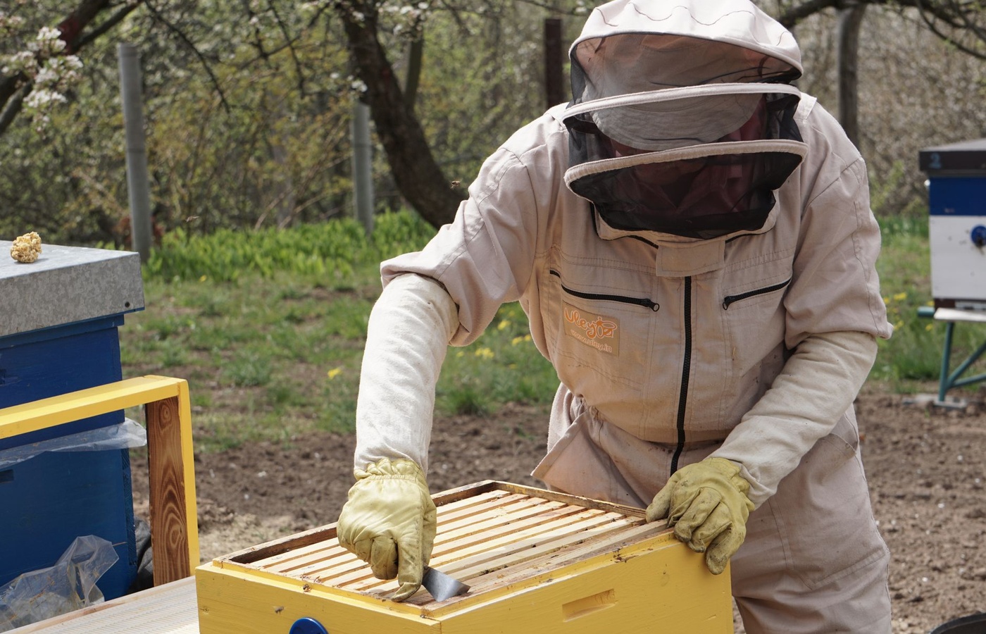 Journeyman Beekeeping