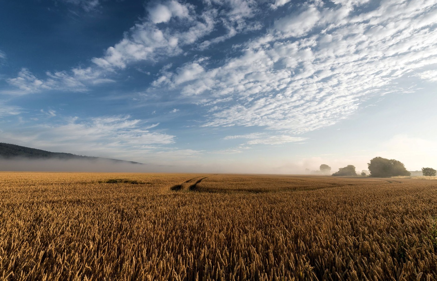 Kansas Applicators License