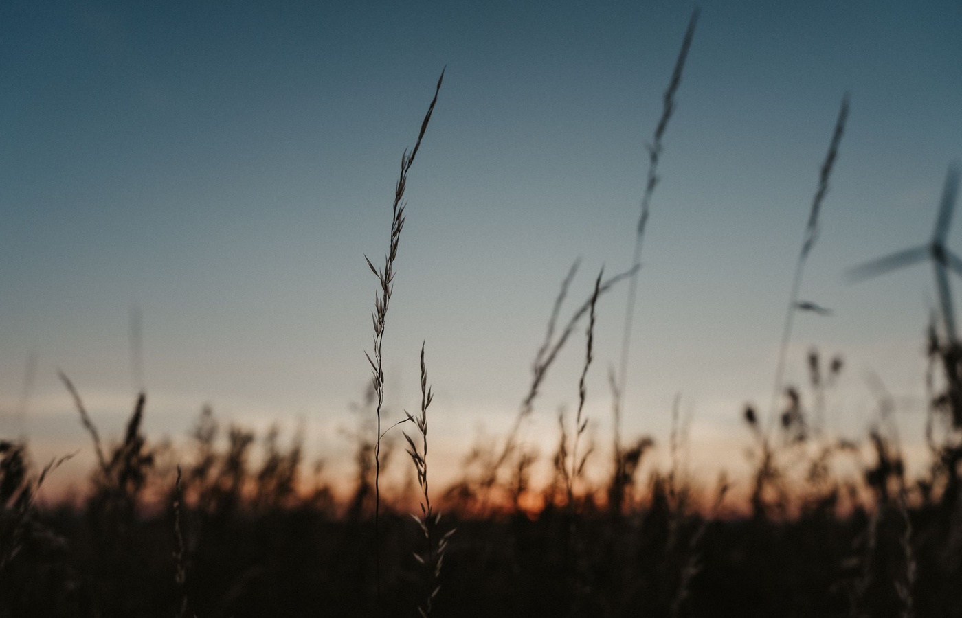 Kansas RMA Eligibility
