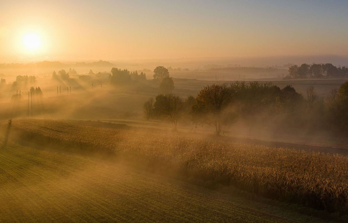 Kansas Commercial Pesticide Applicator (1A)