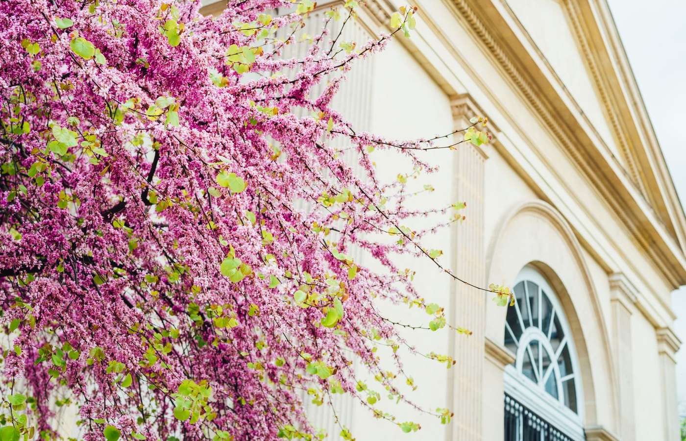 Louisiana Title Insurance