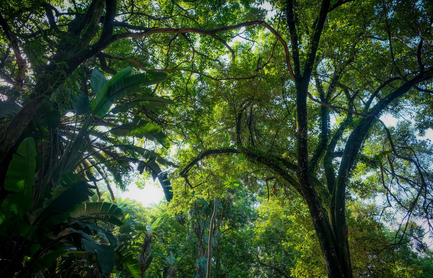 LEAF Certification