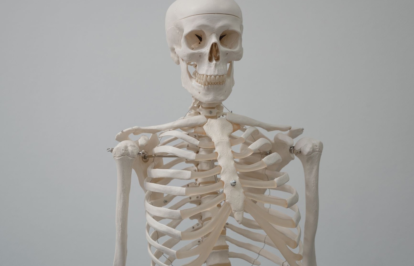LECOM Thorax Clinical Supplement Practice Test course image