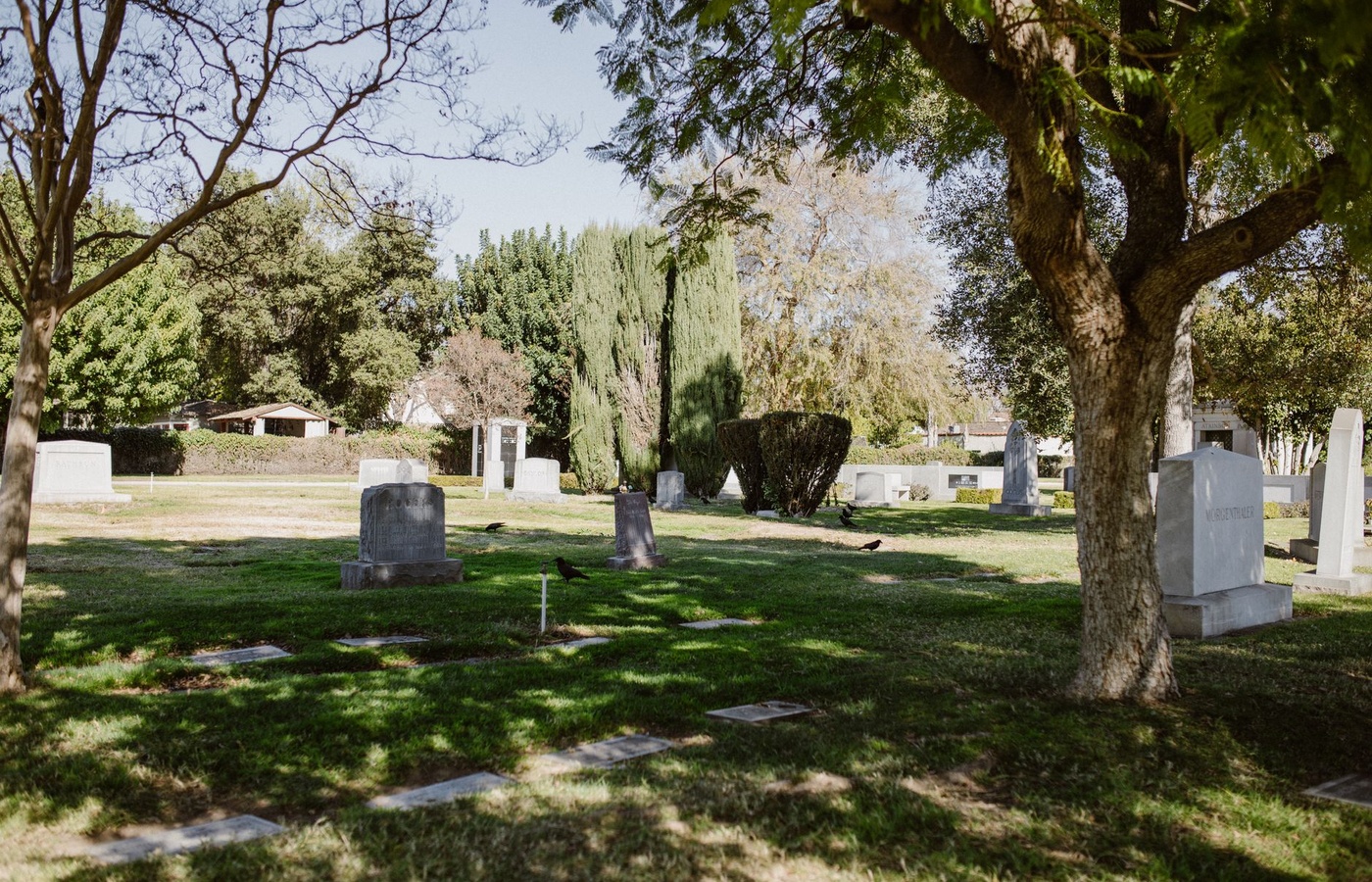 Licensed Funeral Director