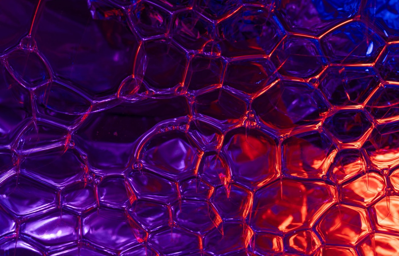 Macromolecules of Life – Zeringue
