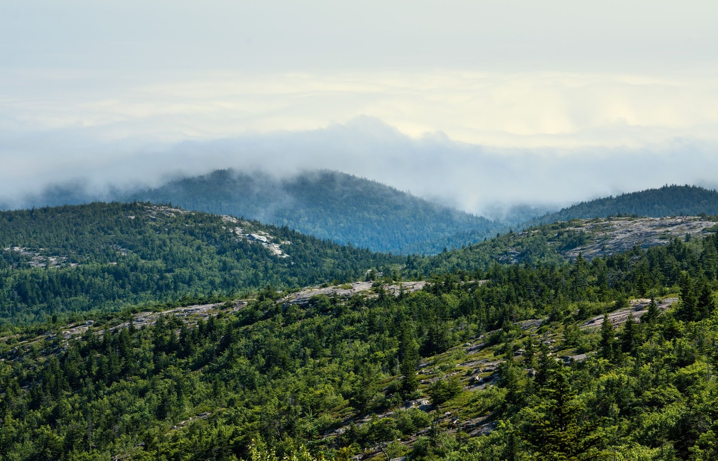 Maine Guide License