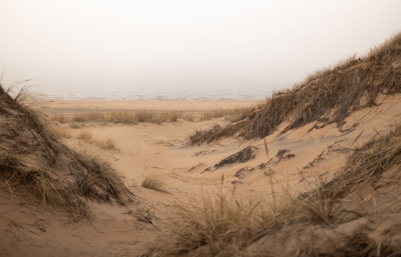 Marine and Coastal Ecosystems: Zones, Features, and Processes