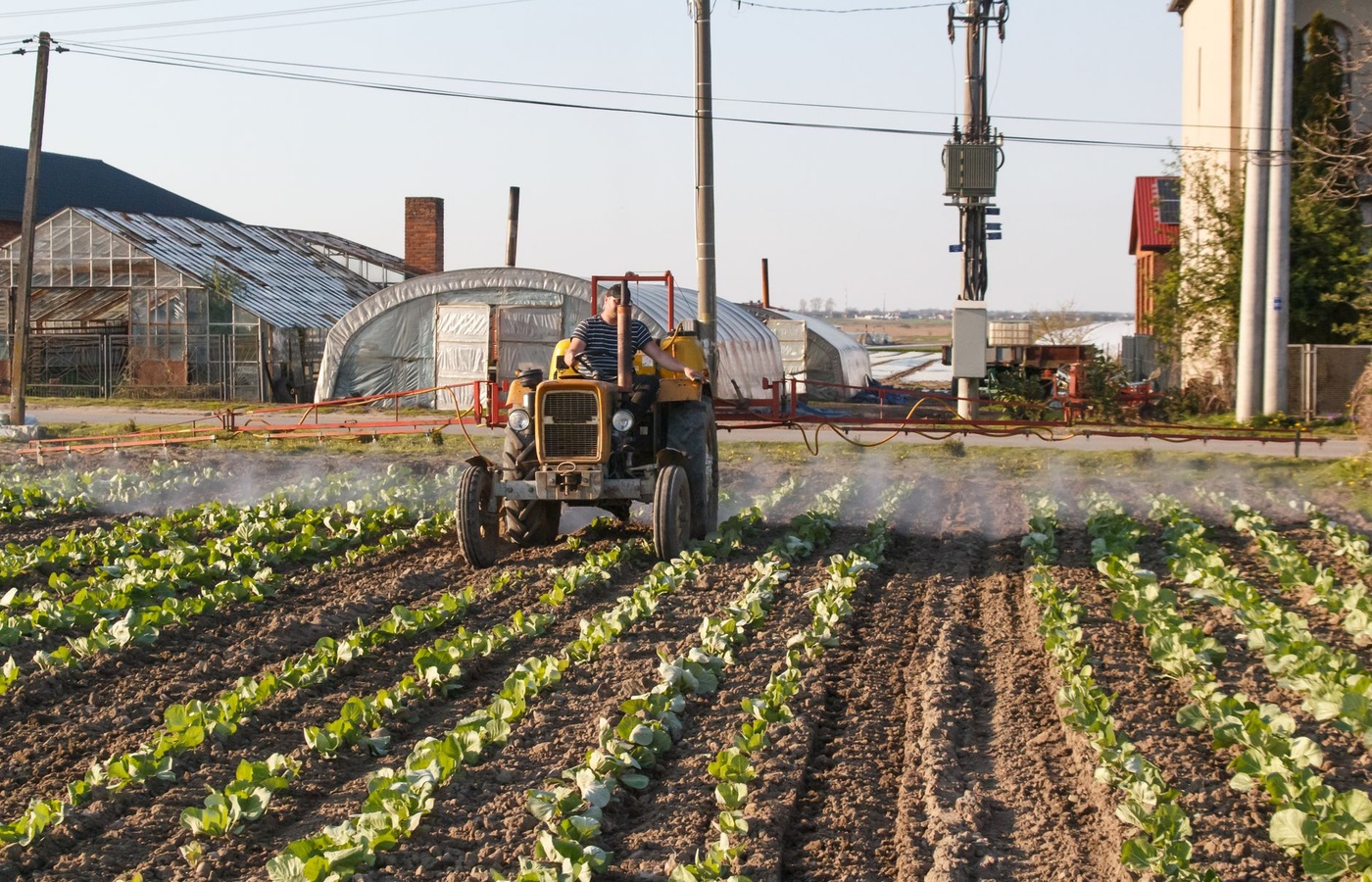 Maryland Pesticide Application