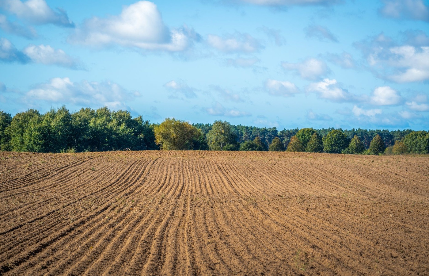 Massachusetts Soil Evaluator