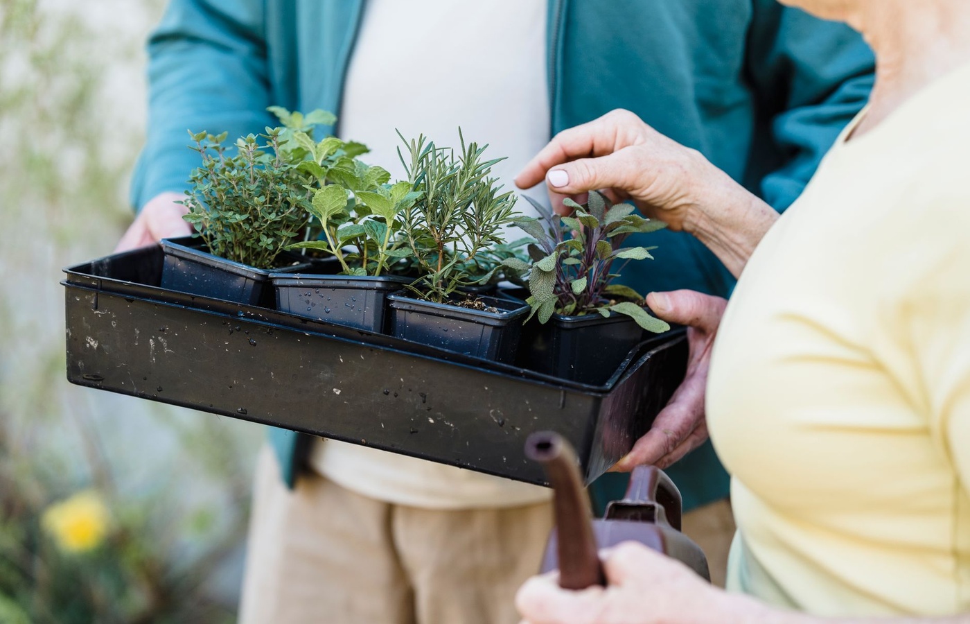Master Gardener
