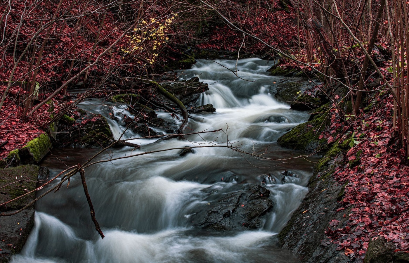 Master Streams