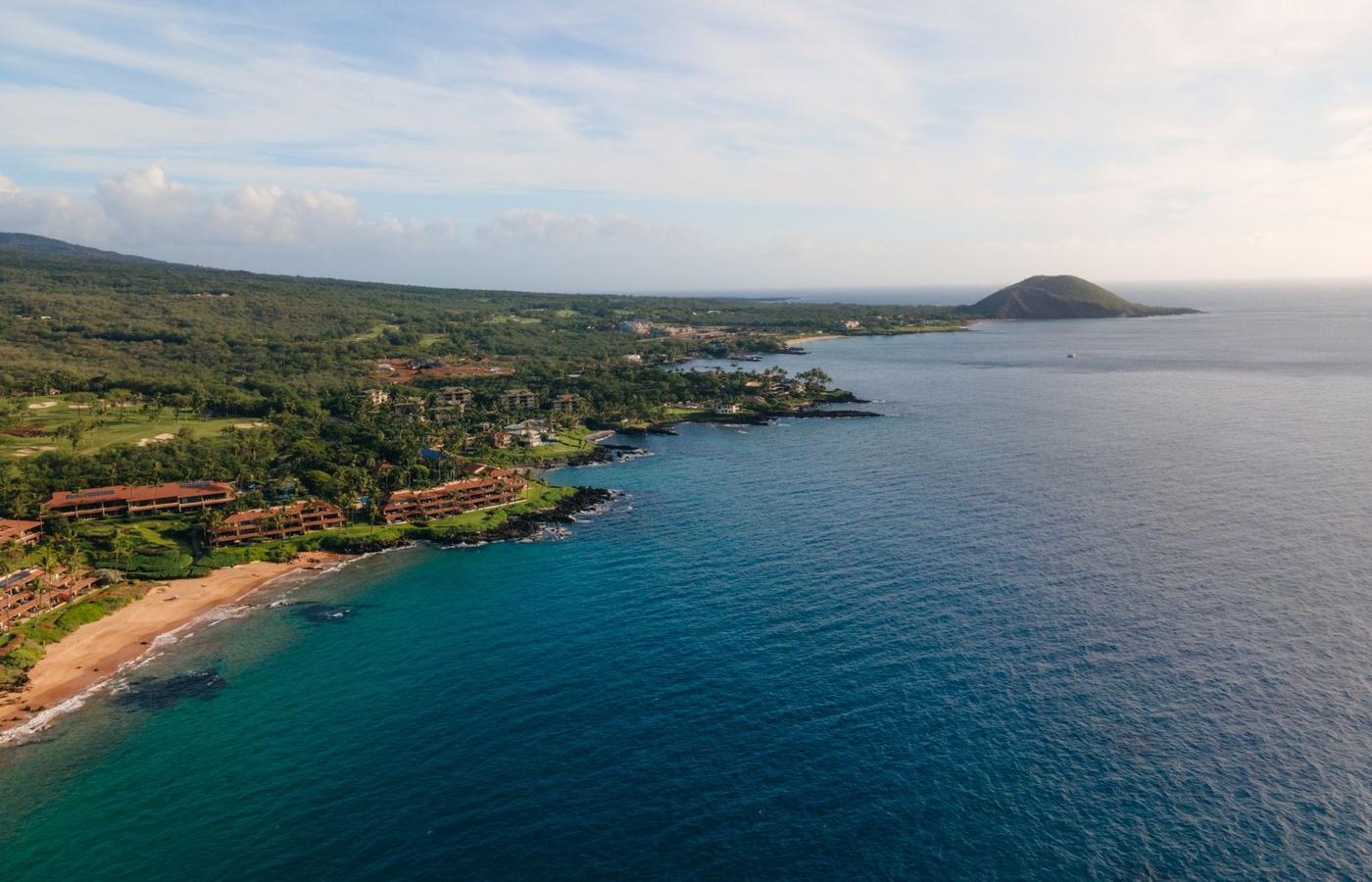 Maui Liquor Certification